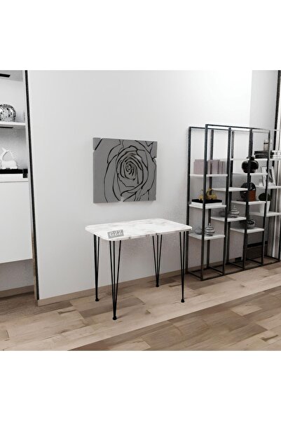 GZZ 60×90 Metal Ayaklı Masa Mutfak Masası Çalışma Masası Bilgisayar Masası Yü...