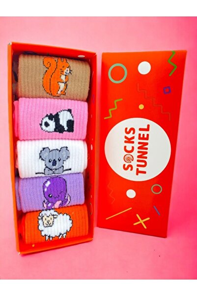 Socks Tunnel 5'li Hayvan Desenli Kolaj Renkli Tenis Çorap Set