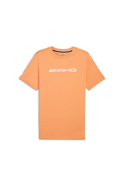 Puma Ανδρικό μπλουζάκι Amg Logo