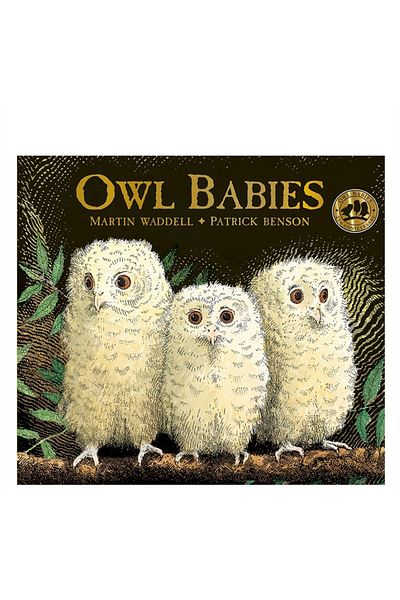 Walker Books Owl Babies