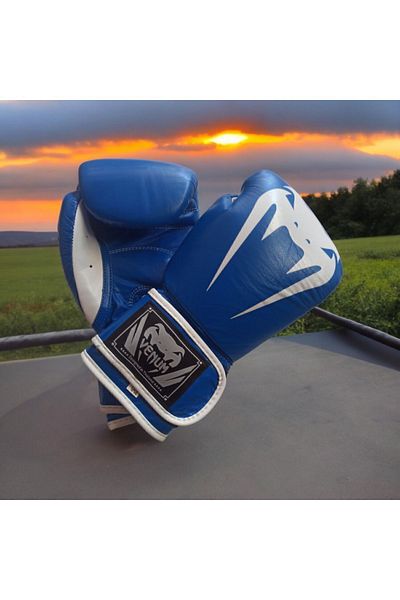 Venum Boxing Gloves