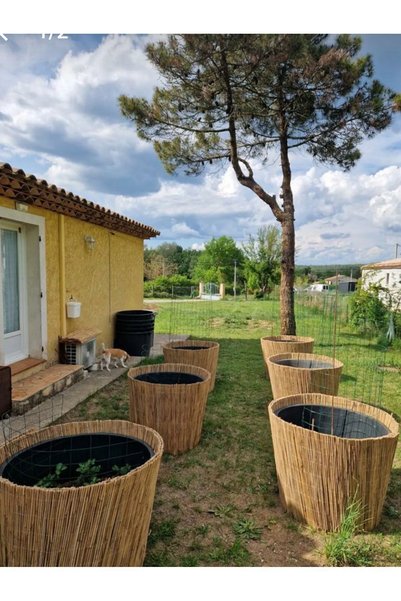 Greenosier 60cm.x3m. Kamış Hasır Balkon Çiti Duvar Çiti Bahçe Dekorasyonu