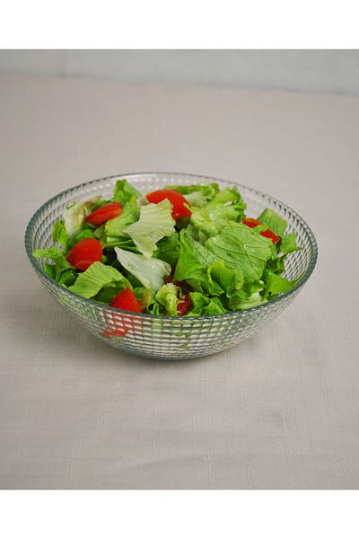 Porselen Diyarı Florida Glass 17 cm Small Size Salad and Chips Fruit Serving Bowl - 1 Piece