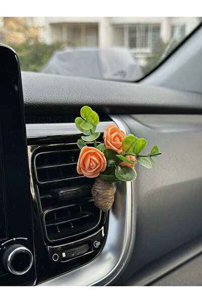 Plantarrium Design Oto Aksesuar/koku-mini Hasır Buket Sarmaşık Somon