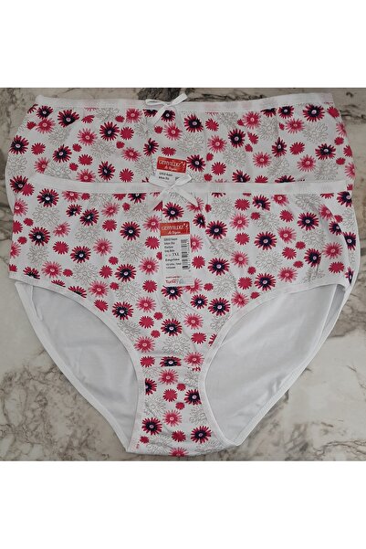 Güryıldız Kadın Arkası Düz Elastan Empirme Bato Külot 2'li Paket