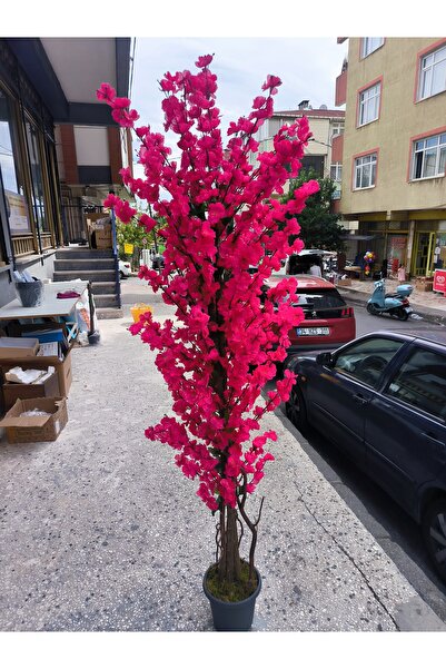 RUZGARCİCEK Rüzgar Yapay Çiçekçilik 180 cm Fuşya Bahardali Ağacı
