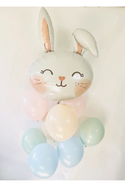 Partifabrik Tavşan Temalı Balon Demeti 10 parça
