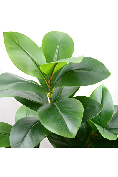 Yapay Çiçek Deposu Yapay Ağac Kauçuk Bitkisi 3 Dallı 105 cm