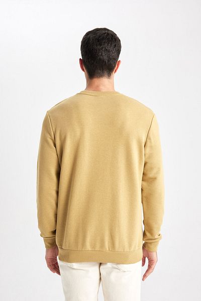 DeFacto Crew Neck Regular Fit pulóver