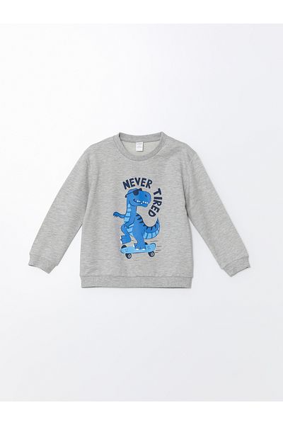 LC Waikiki Crew Neck Printed Sweatshirt and Sweatpants Set for Baby Boy - Set of 2