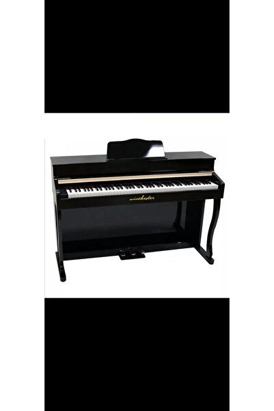 WİNCHESTER Winchester wdp4952 Dijital Piyano