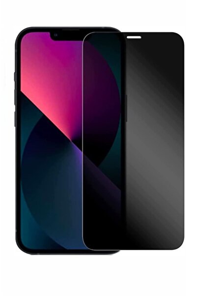 Evax iPhone 13 Mini Uyumlu ESD Anti-Statik Hayalet Özellikli 9H Cam Ekran Kor...