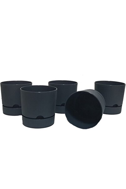 Poliwork Avantajlı Set 5 Adet Begonya 9 Cm Tabaklı Saksı Antrasit 0,5 Lt