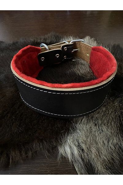 Sürmeli Tasma Wide Kangal Dog Collar - Buffalo Leather