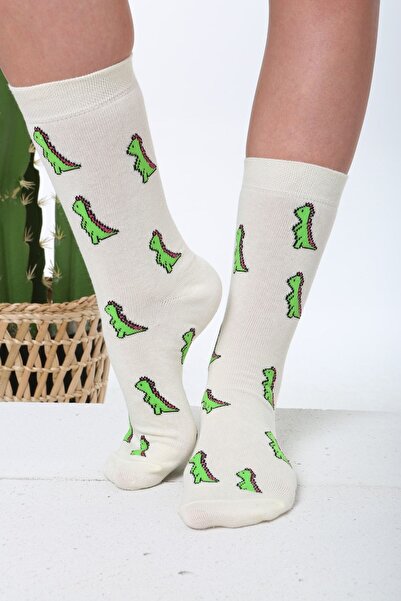 Socks Tunnel Dinosaur Patterned Colorful Socks