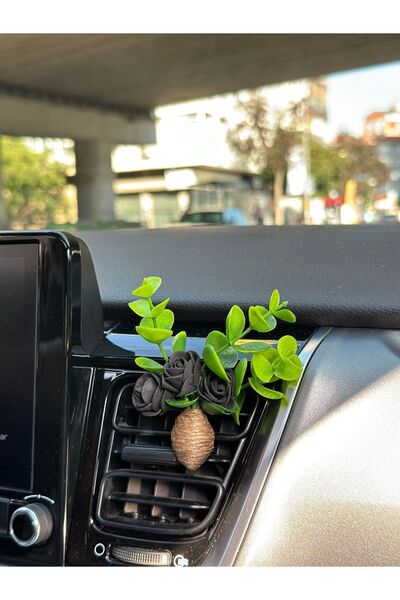 Plantarrium Design Oto Aksesuar/koku-mini Hasır Buket Sarmaşık Siyah
