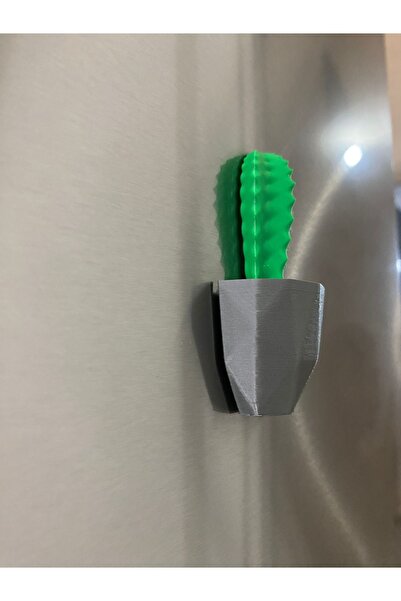 Saksılı Kaktüs Buzdolabı Süsü