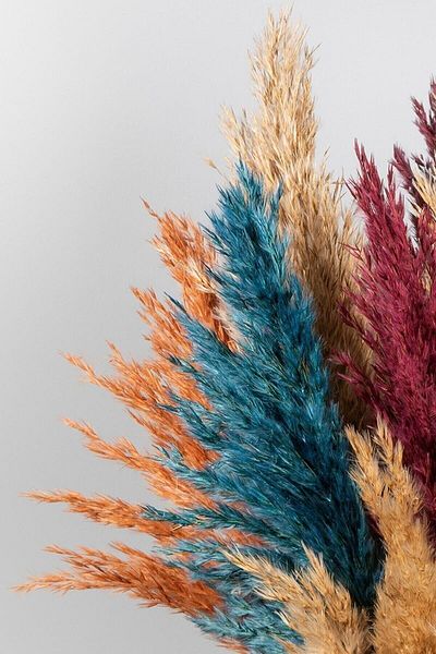ardenhome Φθινοπωρινό Χρώμα Pampas Grass 10 Τεμάχια 60/100 cm