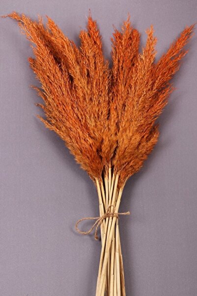 Ekinokshome Kuru Çiçek, Pampas, Doğal Çiçek Turuncu 10 Adet 120 Cm