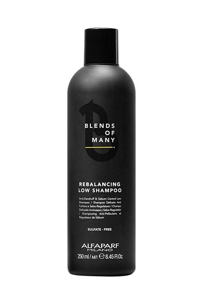 Alfaparf 250 ml Hair Balancer for Men - Special Blends for Bran and Oily Hair
