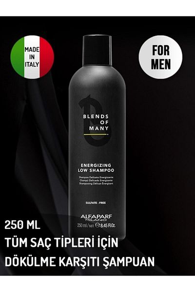 Alfaparf 250 ml Anti-Shedding Shampoo for Men - Blends Suitable for All Hair Types