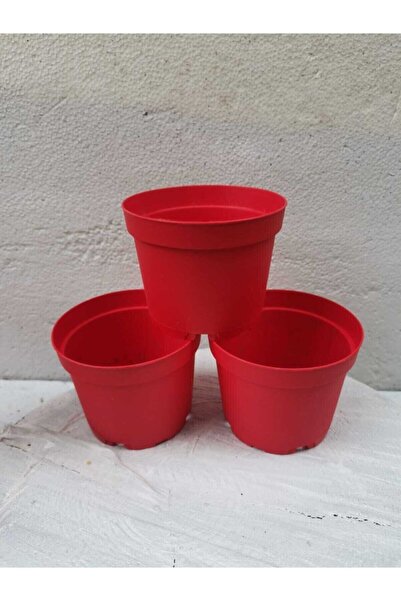 tohumtoprak 8.5 Cm Sukkulent Ve Kaktüs ,menekşe Yetiştirme Saksısı - 10 Adet ...