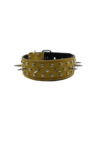 MgTasma Gladiator Barbed Neck Collar - Special Design, Genuine Buffalo Leather, Dog Collar