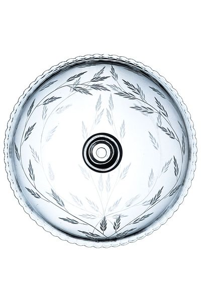 DECOCIA Glass Lid Cake Dome with Shoot Pattern