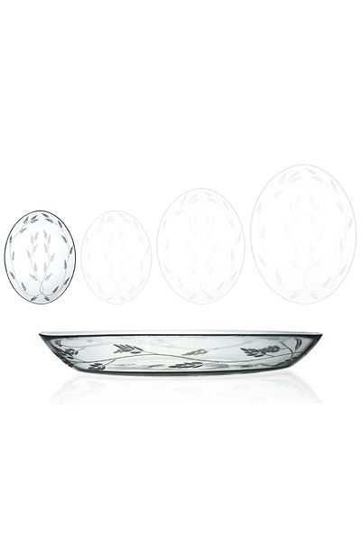 DECOCIA 2 Pieces 25cm Oval Glass Salad Serving Plate with Shoot Pattern