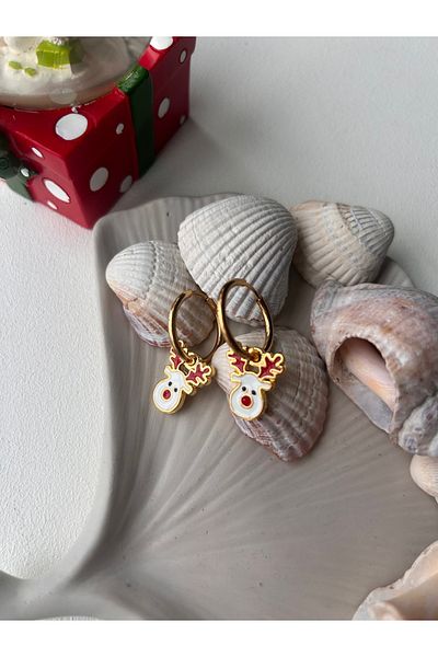 Doğaltaş Masalları New Year's Themed Steel Earrings