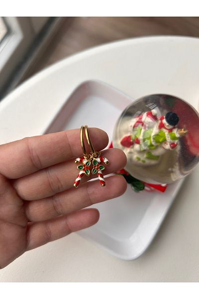 Doğaltaş Masalları New Year's Themed Steel Earrings