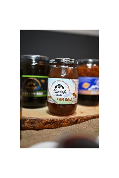 Kazdağı Çam Balı 500g