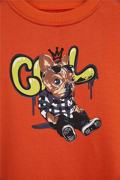 Bad Bear 24.06.12.004 Javed Crewneck Multicolored Boy's Sweat