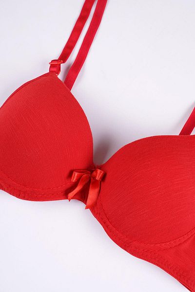 EMINNA Red Colored Padded Supported Bra