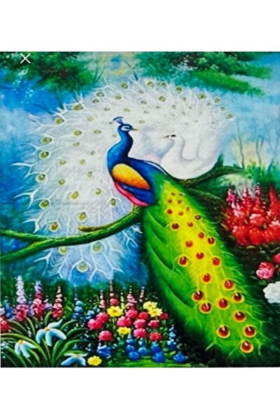 TRENDHOBİEVİ Hı Stone 5d Elmas Boncuk Taş Işleme Mozaik Goblen Kit 50x40cm