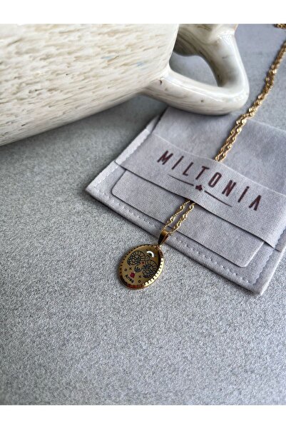 Miltonia Steel Necklace - Aries Zodiac Design