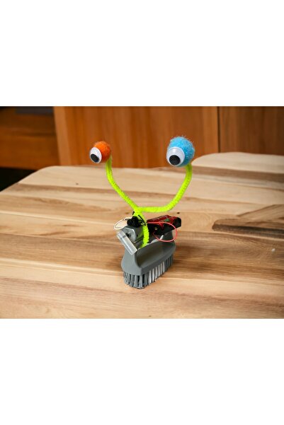 ROBOTLAYN Fırça Robot Stem Eğitim Bilim Seti