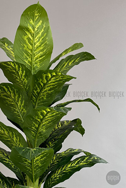 BİÇİÇEK Yapay Ağaç Difenbahya Bambu Gövdeli 180cm Büyük Boy Kırıkbeyaz Renk Yakut Saksıda