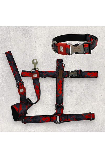 CARAMELOS H Type Name Dog Collar Set - Chest+Neck+Looking Feature, Large Breed
