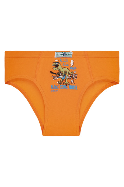 biyokids Erkek Çocuk 5'li Paket Renkli Slip Külot - Rockstar Dino -