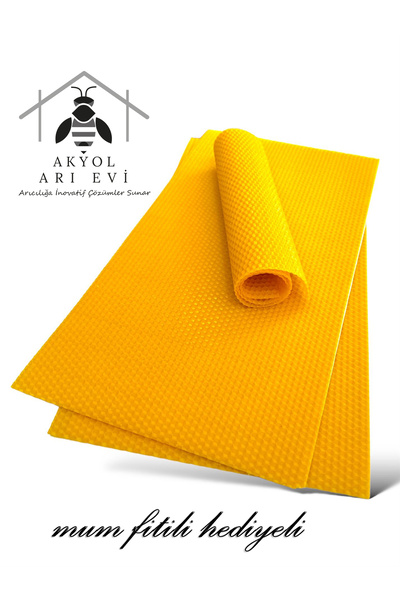 Gold Bee Sıcak Döküm Petek Desenli Bal Mumu Levha (10 Adet)