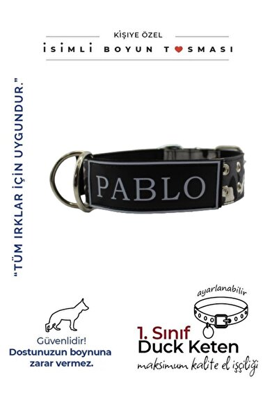 MgTasma Kişiye Özel, Isimli K9 Köpek Tasması, Boyun Tasması