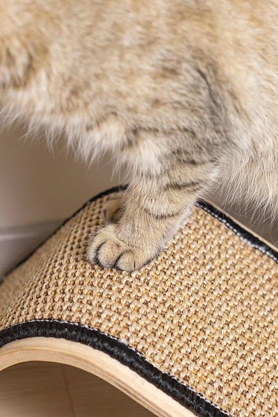 relaxco decoration & pet furniture NaTural CaT ScraTching Board - Herb Sisal Ramp