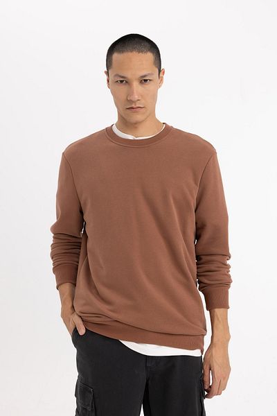 DeFacto Φούτερ με κανονική εφαρμογή Crew Neck