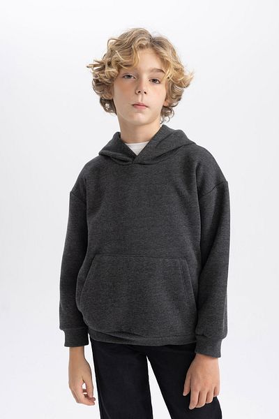 DeFacto Boy's Hooded Regular Fit Sweatshirt