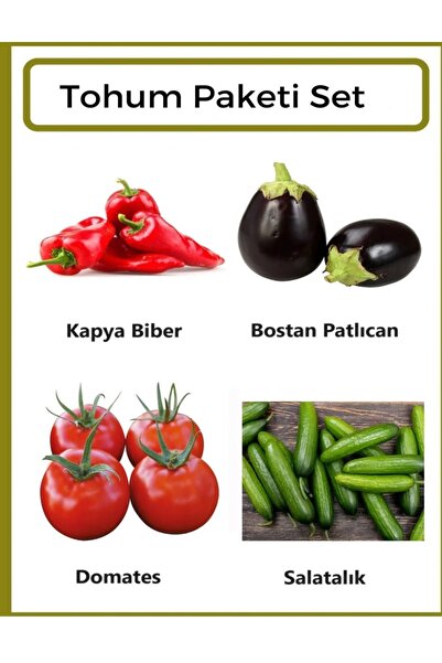 Ziraat Evim Yerli Kapya Biber- Bostan Patlıcan- Domates- Salatalık Tohumu 100...