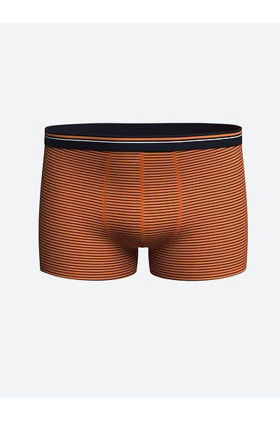 LC Waikiki Ανδρικά Boxers Flexible Cotton Standard Mold - Συσκευασία των 2