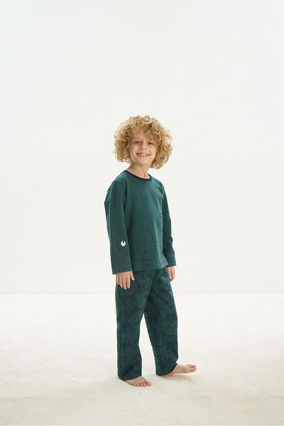 Sevim Green Long Sleeve Boy's Tracksuit Set - C7T0N7O8