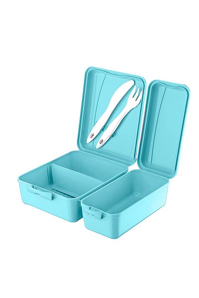 Emofom Takeaway 1300 ml Lunch Box Set Lunch Box Lunch Box
