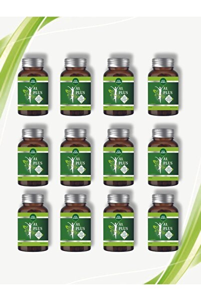 VİTABUMİN A1 Plus L-carnitine Lepidium - Bitkisel 30 Kapsül 12 Adet